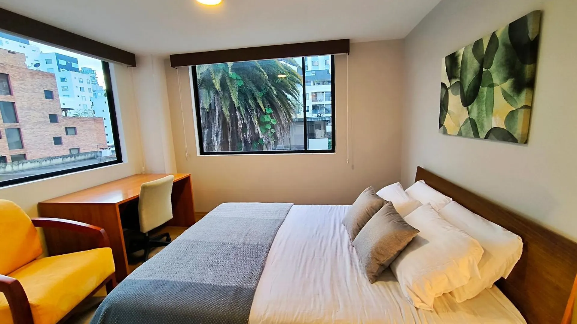 Cozy Apartamento Estadio Olimpico Atahualpa Para 5 Personas Coliving Ecuador Quito Daire
